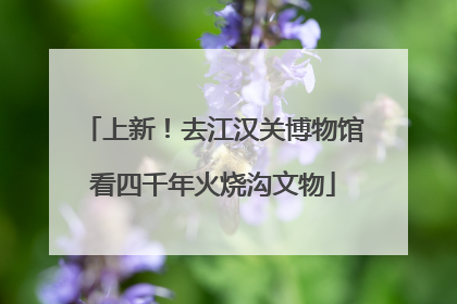 上新！去江汉关博物馆看四千年火烧沟文物