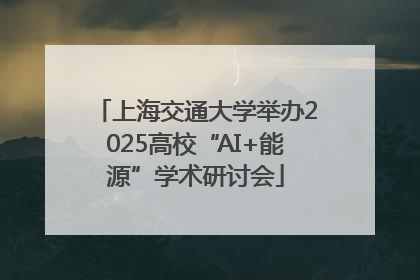 上海交通大学举办2025高校“AI+能源”学术研讨会