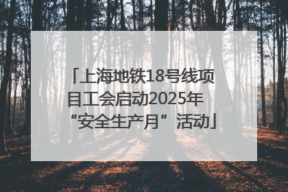 上海地铁18号线项目工会启动2025年“安全生产月”活动