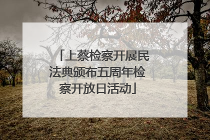 上蔡检察开展民法典颁布五周年检察开放日活动