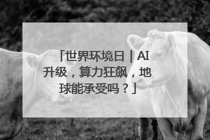 世界环境日｜AI升级，算力狂飙，地球能承受吗？