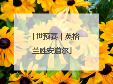 世预赛｜英格兰胜安道尔