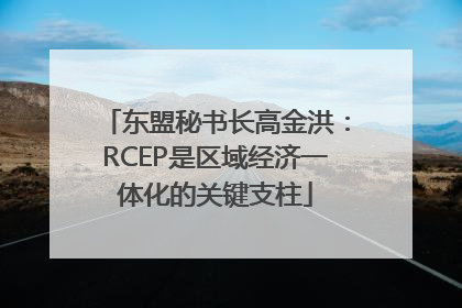东盟秘书长高金洪：RCEP是区域经济一体化的关键支柱