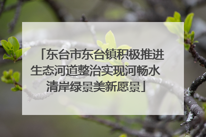 东台市东台镇积极推进生态河道整治实现河畅水清岸绿景美新愿景