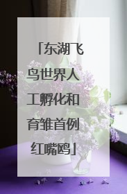 东湖飞鸟世界人工孵化和育雏首例红嘴鸥