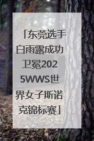 东莞选手白雨露成功卫冕2025WWS世界女子斯诺克锦标赛