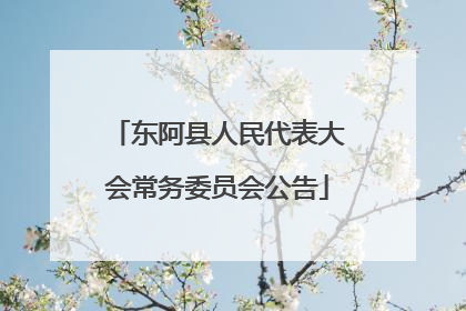 东阿县人民代表大会常务委员会公告