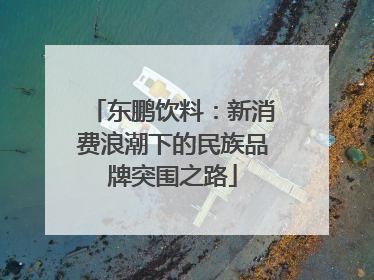 东鹏饮料：新消费浪潮下的民族品牌突围之路