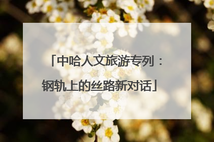 中哈人文旅游专列：钢轨上的丝路新对话