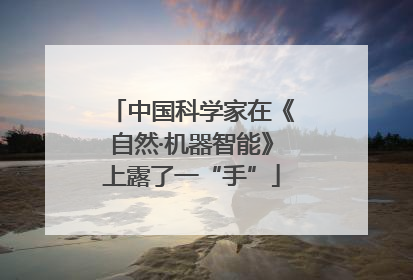 中国科学家在《自然·机器智能》上露了一“手”