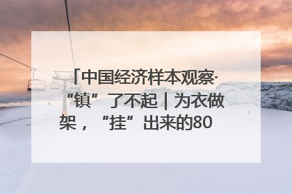 中国经济样本观察·“镇”了不起｜为衣做架，“挂”出来的80亿元“衣架产业”