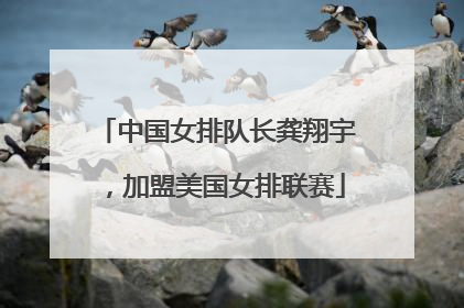 中国女排队长龚翔宇，加盟美国女排联赛