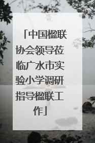 中国楹联协会领导莅临广水市实验小学调研指导楹联工作