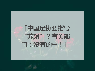 中国足协要指导“苏超”？有关部门：没有的事！