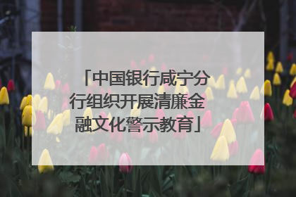中国银行咸宁分行组织开展清廉金融文化警示教育