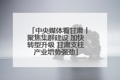 中央媒体看甘肃丨聚焦集群建设 加快转型升级 甘肃支柱产业增势强劲
