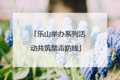 乐山举办系列活动共筑禁毒防线