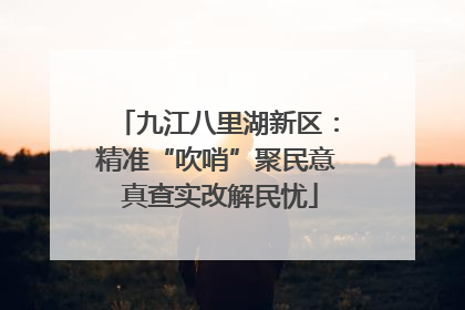 九江八里湖新区：精准“吹哨”聚民意 真查实改解民忧