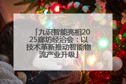 九识智能亮相2025廊坊经洽会：以技术革新推动智能物流产业升级