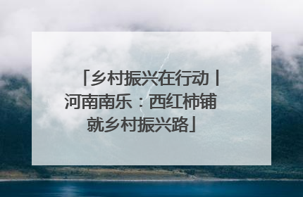 乡村振兴在行动丨河南南乐：西红柿铺就乡村振兴路