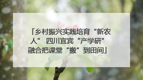 乡村振兴实践培育“新农人” 四川宜宾“产学研”融合把课堂“搬”到田间