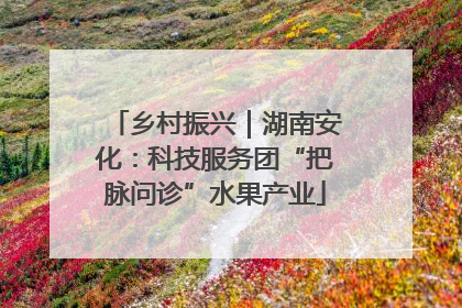 乡村振兴｜湖南安化：科技服务团“把脉问诊”水果产业