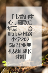 书香润童心，骊歌启华章——合肥市亳州路小学2025届毕业典礼见证成长时刻