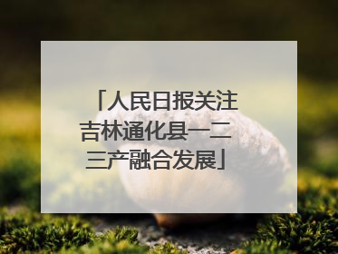 人民日报关注吉林通化县一二三产融合发展