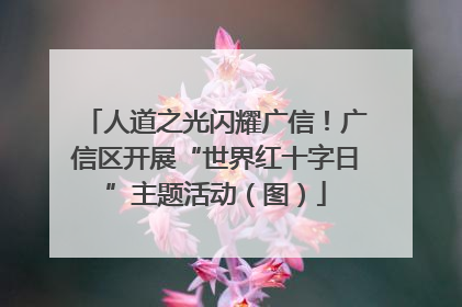 人道之光闪耀广信！广信区开展“世界红十字日”主题活动（图）