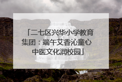 二七区兴华小学教育集团：端午艾香沁童心 中医文化润校园