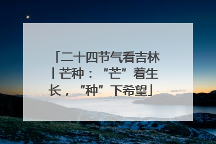 二十四节气看吉林丨芒种：“芒”着生长，“种”下希望