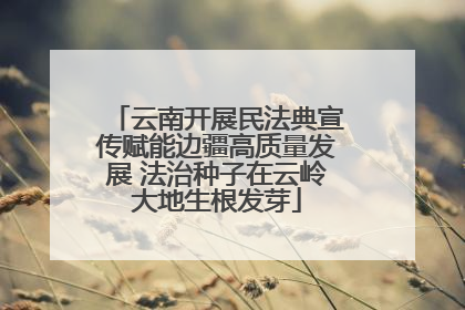 云南开展民法典宣传赋能边疆高质量发展 法治种子在云岭大地生根发芽