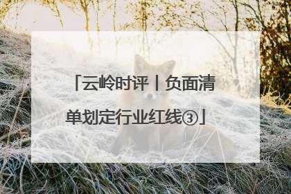 云岭时评丨负面清单划定行业红线③