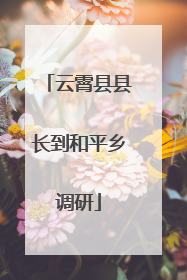 云霄县县长到和平乡调研