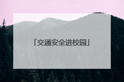 交通安全进校园