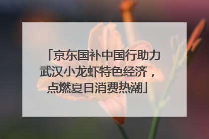 京东国补中国行助力武汉小龙虾特色经济，点燃夏日消费热潮