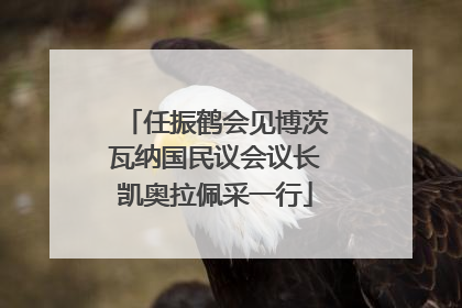 任振鹤会见博茨瓦纳国民议会议长凯奥拉佩采一行