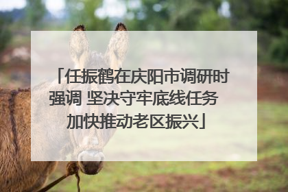 任振鹤在庆阳市调研时强调 坚决守牢底线任务 加快推动老区振兴