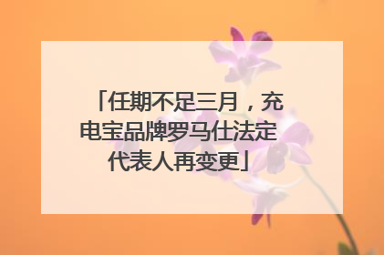 任期不足三月，充电宝品牌罗马仕法定代表人再变更