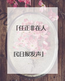 任正非在人民日报发声