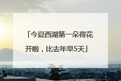 今夏西湖第一朵荷花开啦，比去年早5天