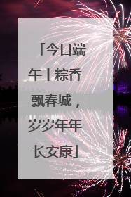 今日端午丨粽香飘春城，岁岁年年长安康