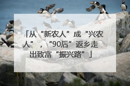 从“新农人”成“兴农人”，“90后”返乡走出致富“振兴路”