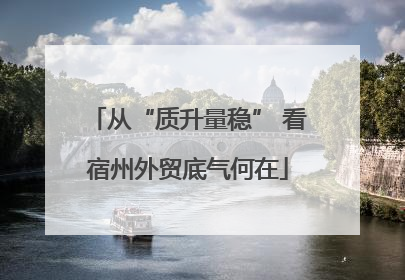 从“质升量稳” 看宿州外贸底气何在