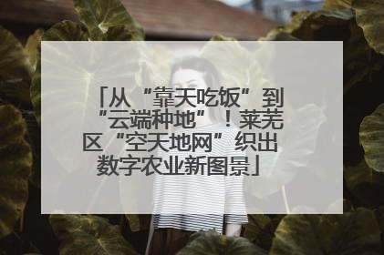 从“靠天吃饭”到“云端种地”！莱芜区“空天地网”织出数字农业新图景
