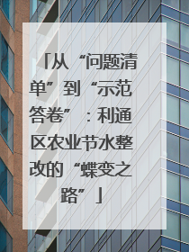 从“问题清单”到“示范答卷”：利通区农业节水整改的“蝶变之路”