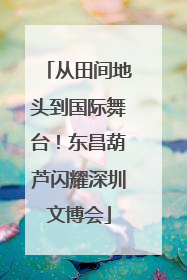 从田间地头到国际舞台！东昌葫芦闪耀深圳文博会