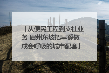 从便民工程到支柱业务 眉州东坡把早餐做成会呼吸的城市配套