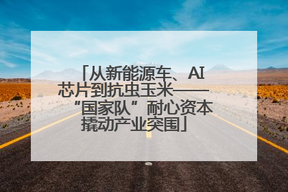 从新能源车、AI芯片到抗虫玉米——“国家队”耐心资本撬动产业突围