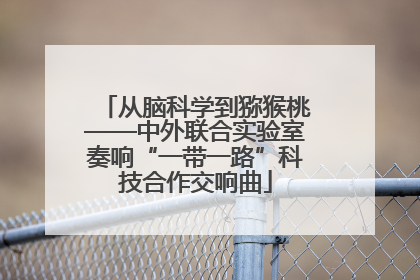 从脑科学到猕猴桃——中外联合实验室奏响“一带一路”科技合作交响曲